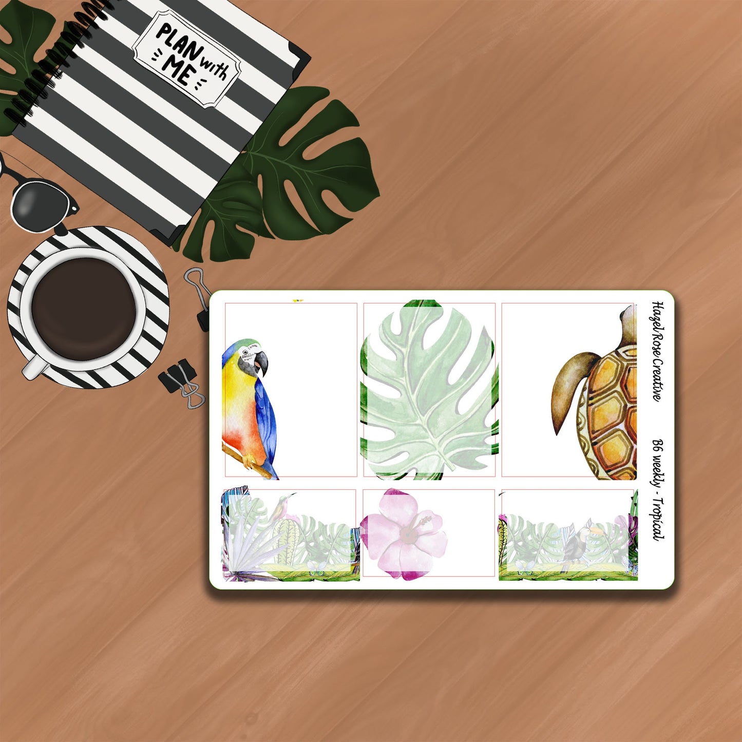 B6 Weekly Kit - Tropical