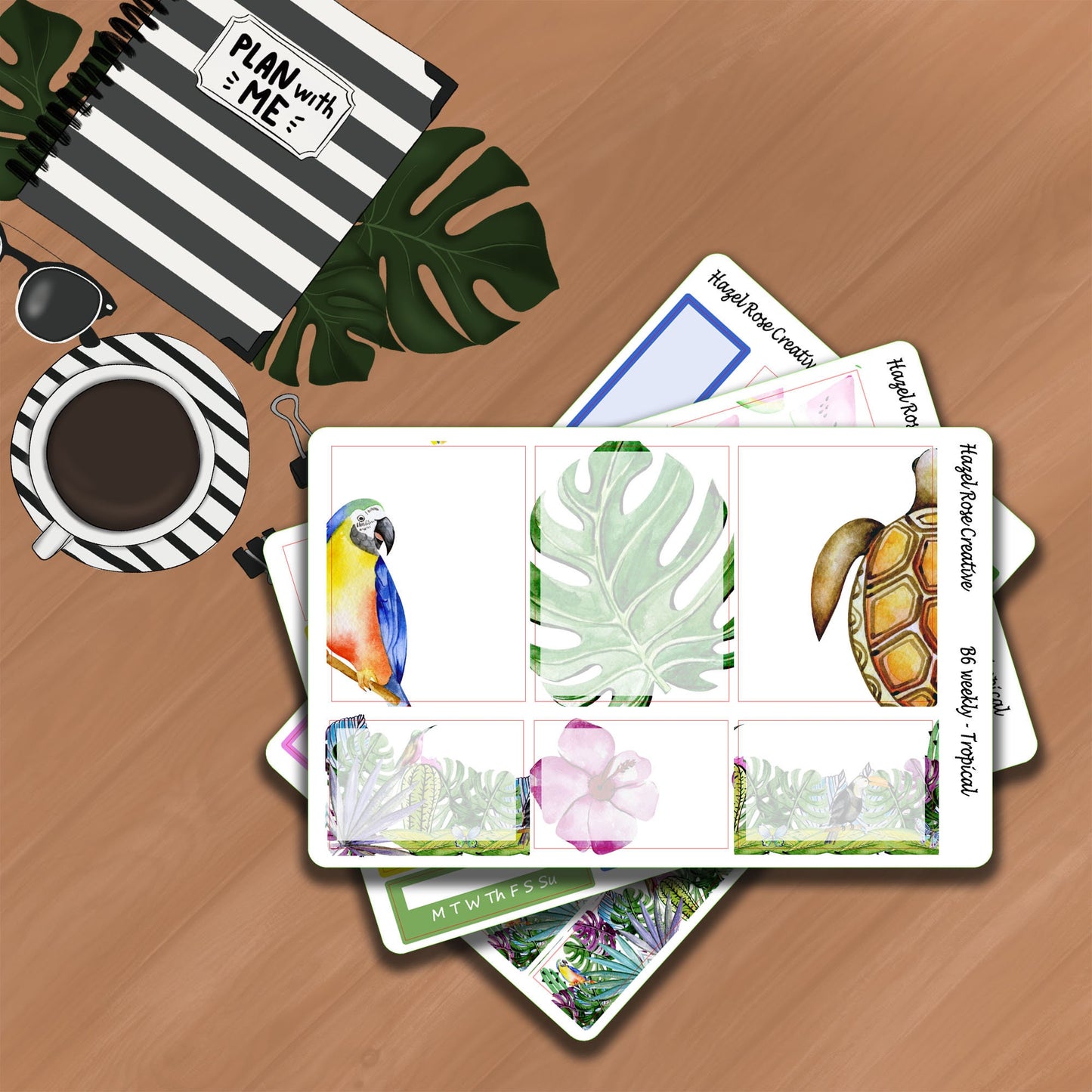 B6 Weekly Kit - Tropical