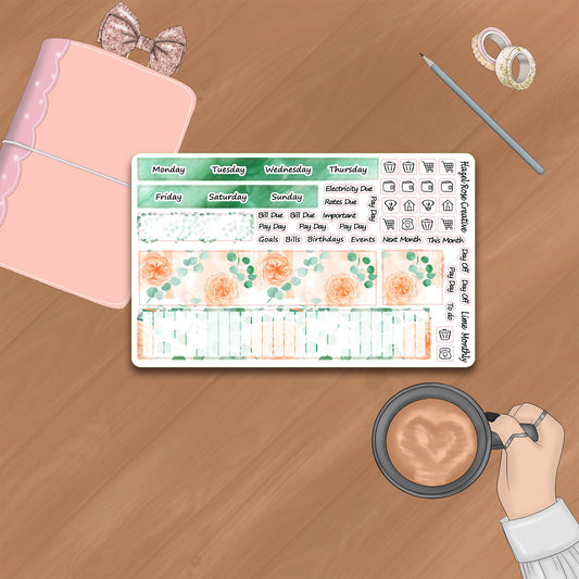Lime Weekly Monthly Kit - Eucalyptus & Peach