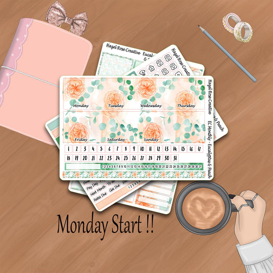 Monthly Kit Standard planner - Eucalyptus and Peach